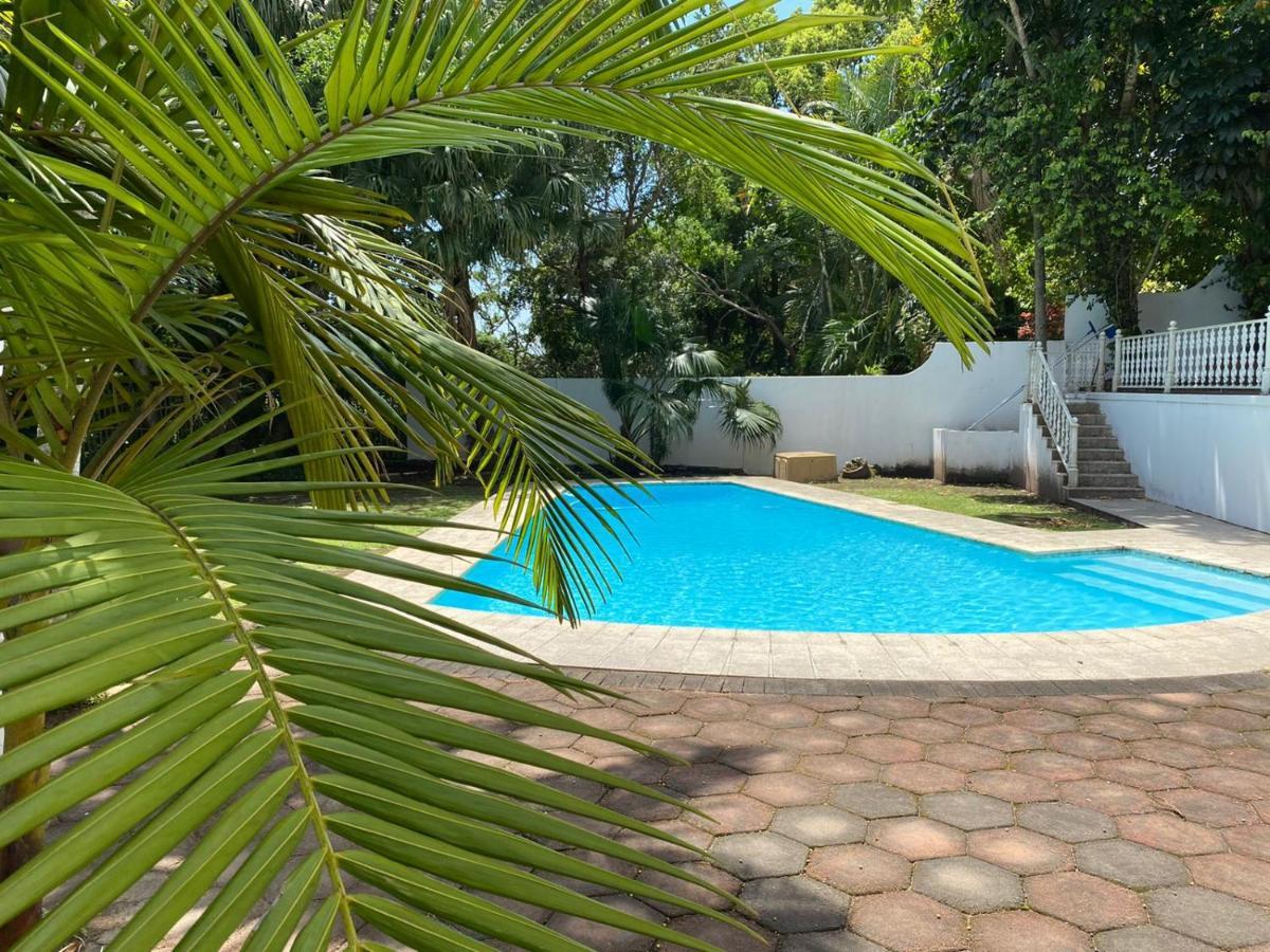 The Whitehouse Bed And Breakfast Durban Eksteriør billede